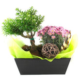 Arreglo Floral